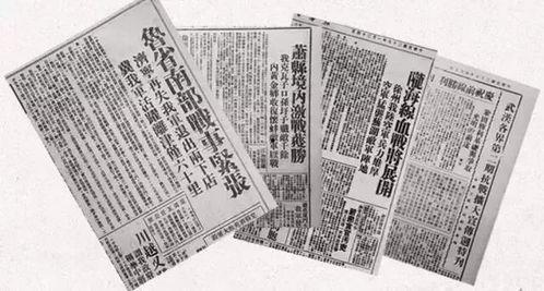 台儿庄媒体爆料案件最新,最新案件进展，真相即将揭晓！